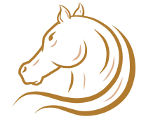 brand-logo